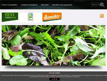 Tablet Screenshot of ecologicament.com
